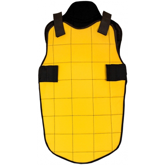 PLASTRON ARBITRE FIELD JAUNE