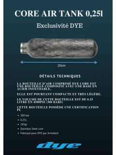 BOUTEILLE AIR DYE CORE 0.25L 300 Bars GRISE