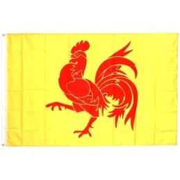 DRAPEAU FOSCO WALLONIE (1x1,5m)