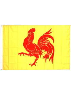 DRAPEAU FOSCO WALLONIE (1x1,5m)