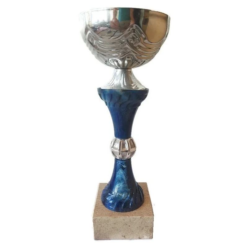 COUPE FUZION ARGENT/BLEU (21,5cm)