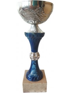 COUPE FUZION ARGENT/BLEU (21,5cm)