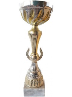 COUPE TROPHY GOLD/SILVER (28cm)