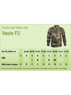 VESTE MILITAIRE F2 ARMEE FRANCAISE CAMO CE OCCASION