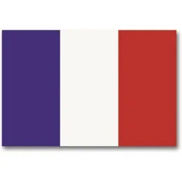 DRAPEAU MIL-TEC FRANCE (90x150cm)