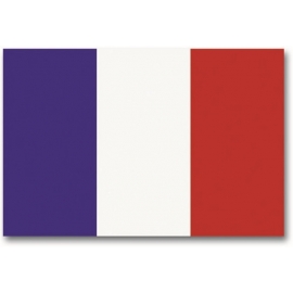 DRAPEAU MIL-TEC FRANCE