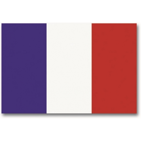 DRAPEAU MIL-TEC FRANCE (90x150cm)