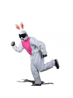 COSTUME LAPIN